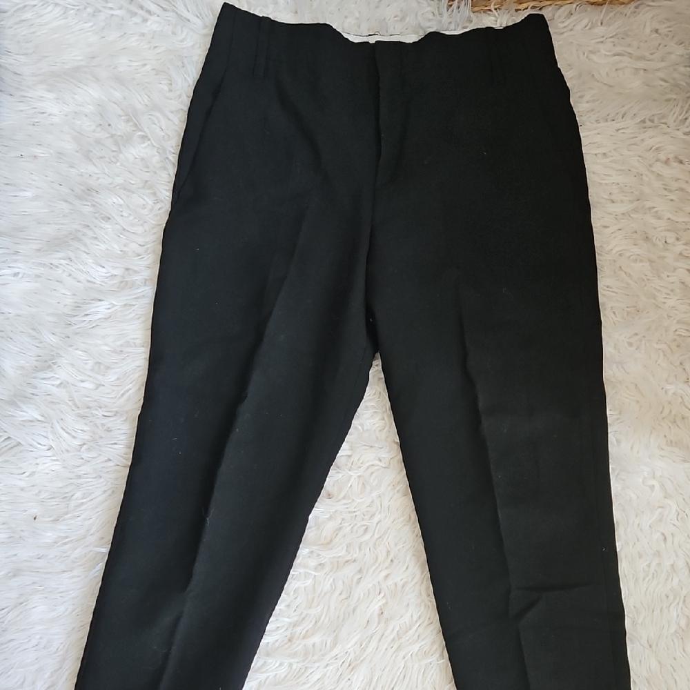Zara Black Ankle Cropped Pants with Streamlined Waistband